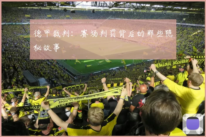 德甲裁判：赛场判罚背后的那些隐秘故事